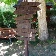 Medvedja